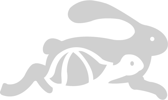 Race Entry logo