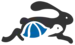 Race Entry icon