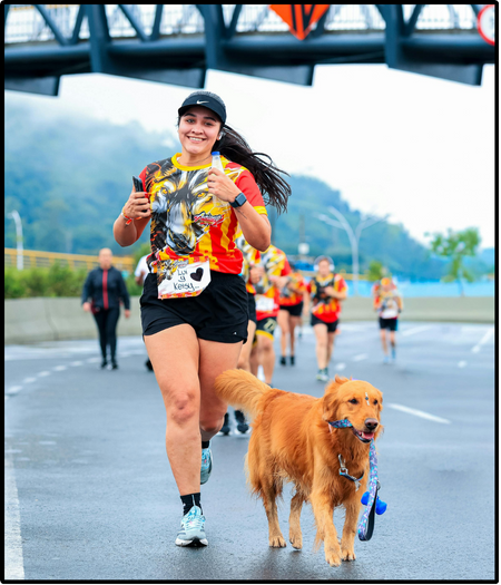 5k organiser